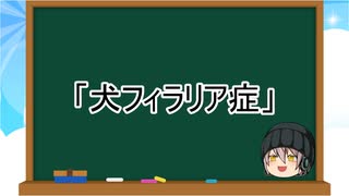 【ゆっくり解説】犬の病気５：犬フィラリア症