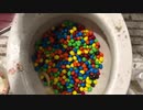 M&M'sとプリングルズをトイレに流してみた３
