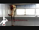 異常蒐集家【クトゥルフリプレイ①】