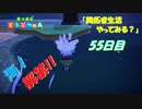 【N.Sw】 " あつまれ どうぶつの森 " 開拓者生活やってみる？　55日目　【生放送】