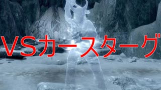 【SkyrimVR】多分？破壊魔法縛りでLegendaryカースターグに挑戦！【番外編！】