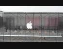 中国のapple