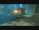 【実況プレイ】いまさらゼルダの伝説 Breath of the Wild: 19
