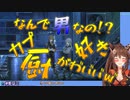 ロボゲーなのにラブコメなゲーム展開で限界化するフミ