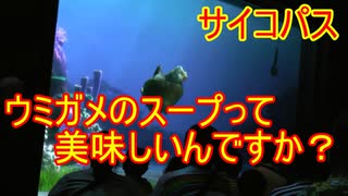【サイコパス】ウミガメのスープって美味しいんですか？【タートルトーク】東京ディズニーシー