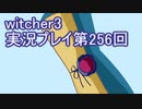 探し人を求めてwitcher3実況プレイ第256回
