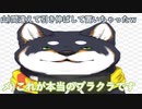 【しばカルタ】運営に遊びで作られた画像でブラクラになる黒井しば【黒井しば/メリッサ・キンレンカ/山神カルタ】