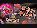 【ソロ実況】でこぽんと行くポケモンシールドPart３０【でぃあ☆わん】