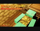 Minecraft Slow life ~ the world builders ~ 6.5 ~