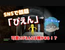 【単発実況】SNSで話題になった「ぴえん」ビビリがやってみた　