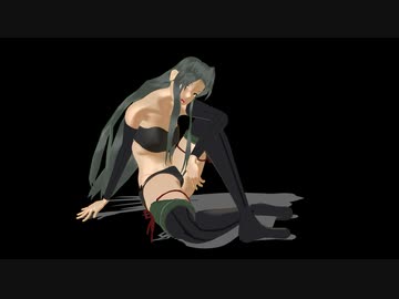 決戦瑞鶴ウエイトテスト動画1