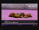 ソンメモ後のポケモン枠