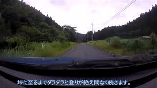 【車載動画】岡山鳥取県道７号線　右手峠