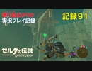【寄り道ばかりの】ゼルダの伝説BotW【実況プレイ記録91】石像の謎