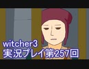 探し人を求めてwitcher3実況プレイ第257回