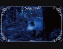 【魔女たちの眠り】戦慄必至の村に怯え噛む朗読＆実況プレイPart27