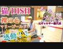 有明ガーデン ストリートピアノ【あいみょんメドレー/猫 DISH// /裸の心/マリーゴールド】弾いてみた♪