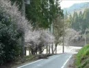 【適当に】静岡県県道47号を走ってみた・その２【走ってきた】