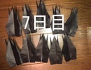 7日目
