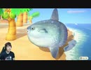 【あつまれ どうぶつの森】巨大翻車魚釣れる迄終われません!#91