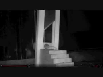 ホモと学ぶネズミトラップ一部無修正版.girochin