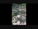 A walk