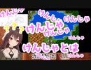 【SFCドラクエ３】完全初見プレイゲーム実況　放浪編１【八重沢なとり】