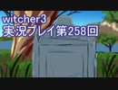 探し人を求めてwitcher3実況プレイ第258回