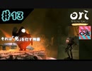 ＃13【実況】〇兎が灯す「オリとくらやみの森」【PC】
