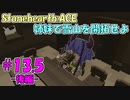 【Stonehearth:ACE】 姉妹で雪山を開拓せよ #13.5 -後編- 【ガイノイドtalk実況】