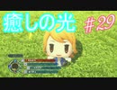 行こう！！　失った記憶を知る旅へ！【WORLD OF FINAL FANTASY】　Part29