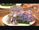 【ゲスト：田中家】みなみ✿ア・ラ・モード＃10(前半) (コメ有)