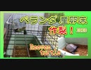 【クサガメ】産卵床を作る！2020 ベランダ飼育[create a spawning bed in balcony.Turtle spawning] Reeves turtle