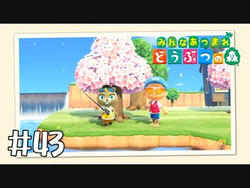 【実況】みんなあつまれ どうぶつの森 #43