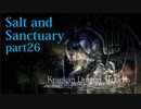【Salt_and_Sanctuary】2D世界の呪われた島を初見探索【実況】part26