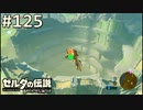 【実況】#125:ゼルダの伝説 ブレスオブザワイルド 初見実況プレイ