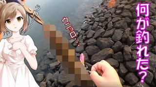 ささらさんと！ベイトシーバス道 part2