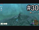 世界を冒険するべく「ゼルダの伝説 ブレスオブザワイルド」実況　part30