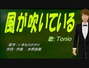 【TONIO】風が吹いている【カバー曲】