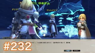 気持ちだけ移住 ドラゴンネスト実況　part232