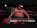 yokozuna ＷＷＥ（旧ＷＷＦ）ロドニー・アノアイ
