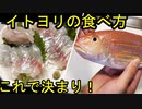 死ぬ前に知ってほしい最高の食べ方！イトヨリダイ