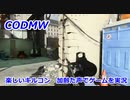 楽しいキルコン　Call of Duty Modern Warfare ♯103　加齢た声でゲームを実況