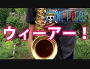 テナーサックスで「ウィーアー！」(ONE PIECE)を吹いてみた