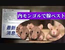 内モンゴルでいつものペストがまた発生