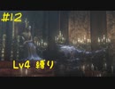 【Bloodborne Lv4縛り】フロムゲー中級者のブラッドボーンpart12【実況プレイ】
