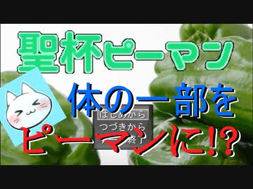 【聖杯ピーマン】ゲームタイトルから予想してた通りやっぱりバカゲー【実況】