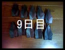 黒折り紙で千羽鶴を作っていく　9日目