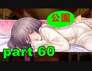 【実況】 素晴らしき世界観を求め、紫影のソナーニル【part60】