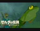 生まれて初めてガノンドロフに会いにいく#41【ゼルダの伝説BotW】
